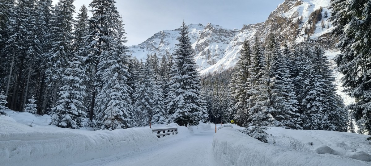 Sprookjesachtige beelden tijdens onze wandeling omhoog richting Kolm Saigurn
