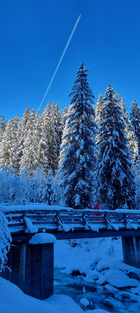 Door het Achenwald en langs de rivier loop je de route naar de Krimmler Wasserfällen
