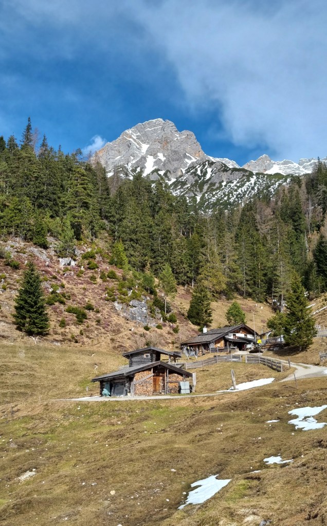 Steinalm hutte