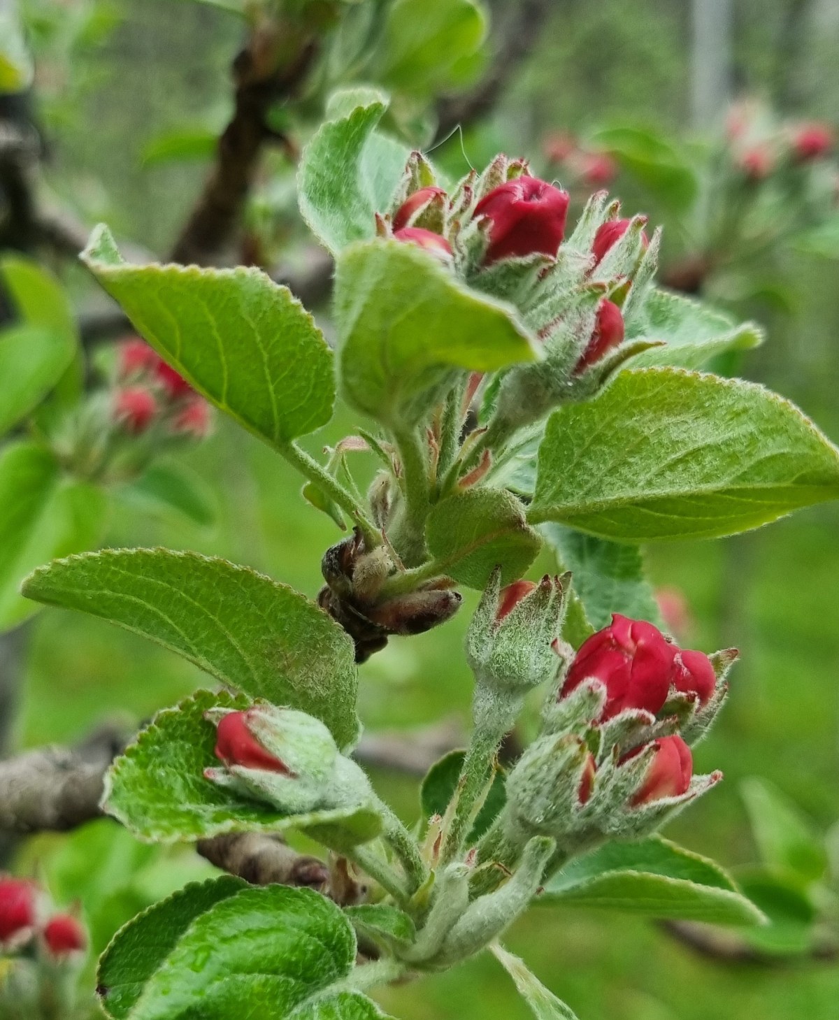 ”Osterferien” in Sud Tirol&nbsp;Italië