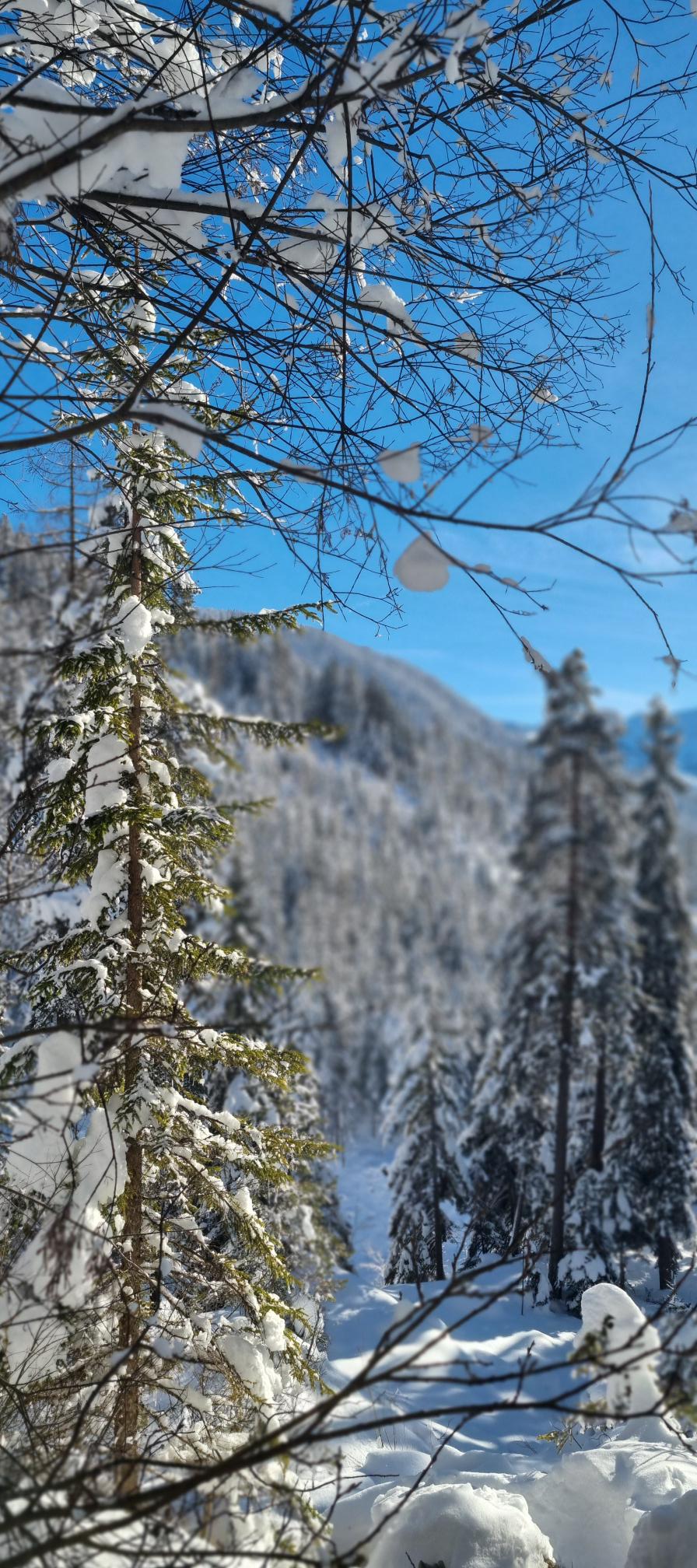 uitzicht vanaf Kaseregg
